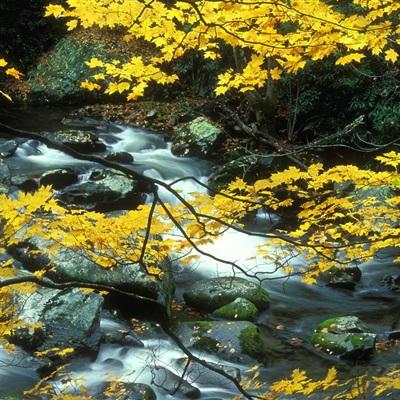 爱体育官方网站app下载